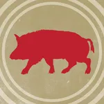 BoarBuster icon