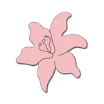 Soma Boutique icon
