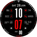 DG Info Watch Face icon