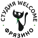 Студия Welcome Фрязино icon