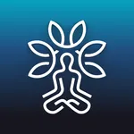 Chakragram: Human Design App icon