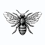 Buckbees Shop icon