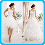 Wedding Dresses Ideas icon