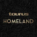 Homeland icon