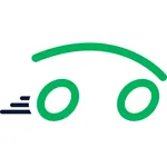 Taxis Verts icon