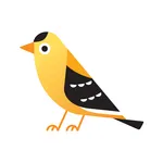 Finch by Teaching Strategies icon