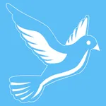 Novena al Espiritu Santo icon