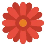 Memorama Complete icon
