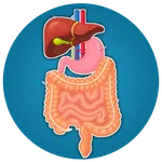 Biology Textbook (WASSCE) icon