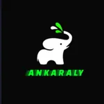 ANKARALY icon