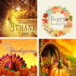 Thanksgiving HD Wallpapers icon