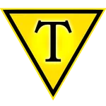 tehmat icon