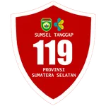 Sumsel Tanggap - Petugas icon