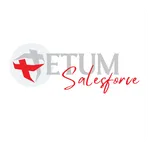 TETUM Sales Force icon