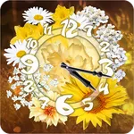 Daisy Sun Flower Clock Widget icon