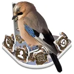 Jay Bird Theme icon