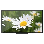 Flowers 🌻 on Chromecast icon