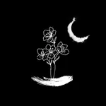 Perfect Image Design&Decorate icon