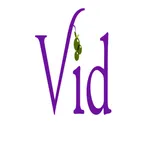 TheVid icon