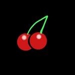 Cerise NFT Wallet icon