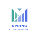 Spring Framework - Java icon