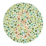 Color Blind Test icon