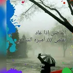 رواية الماضي اذا عاد icon