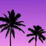 Purple Wallpapers HD 2024 icon