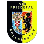 VfB Friedetal Sollstedt icon