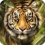 Royal Bengol Tiger Wallpaper icon