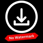 Tikvideo:No Watermark Download icon