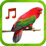 Bird Sounds Ringtones icon