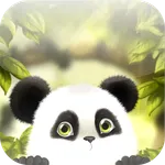 Panda Chub Live Wallpaper icon