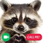 Raccoon Prank Call & Chat icon