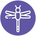 Top Insights icon