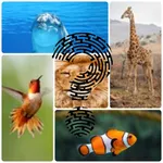 Animals Quiz - Think and Learn icon