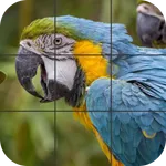Birds Jigsaw Puzzle icon