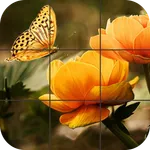 Butterfly Jigsaw Puzzles icon
