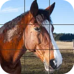 Beautiful Horses Puzzle icon