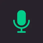 Tiny Audio Recorder icon