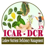 Cashew Nutrient Deficiency icon