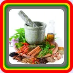 traditional herbal medicine icon