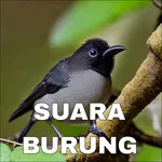 Suara Burung Offline icon