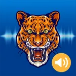 Animal & Bird Sounds icon