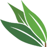 Mindset Journal icon