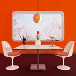 Escape Game Tulip icon