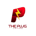 The Plug icon