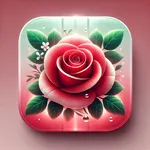 Roses App icon
