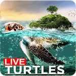 🐢 Sea Turtle Lock Screen Live icon