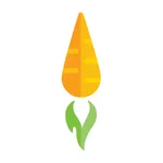 TUVERDULERIA - Delivery Fresco icon
